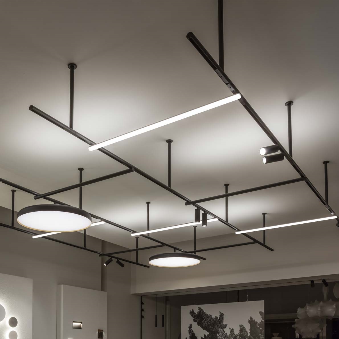 Flos Infra-Structure